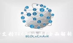 TP钱包是否支持TRC20通道？全面解析与使用指南