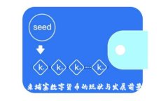 柬埔寨数字货币的现状与发展前景