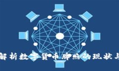 深入解析数字货币牌照的现状与未来