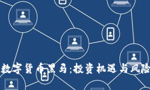 未来数字货币黑马：投资机遇与风险分析