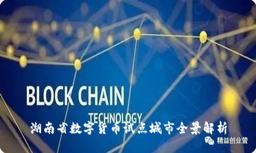 湖南省数字货币试点城市全景解析