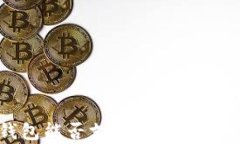 以太坊钱包能否支持FIL币？解析与选择