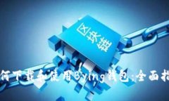如何下载和使用Bying钱包：全面指南