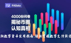 罗湖数字货币使用指南：轻松掌握数字支付新方