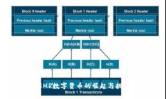 MMR数字货币的崛起与挑战
