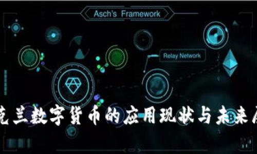 乌克兰数字货币的应用现状与未来展望